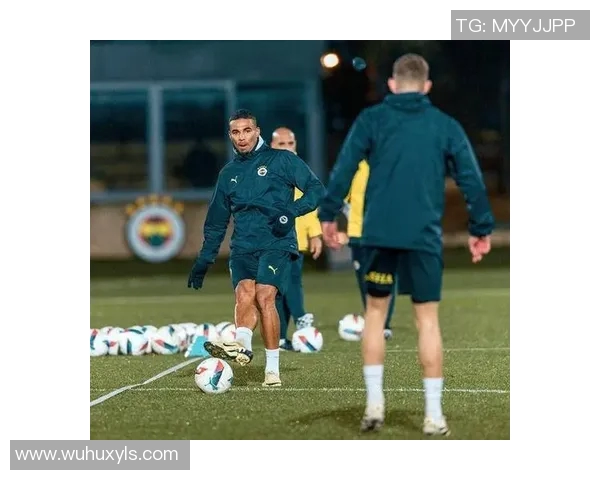 外国人眼中的足球球星评析：从全球视角看球员的荣耀与挑战